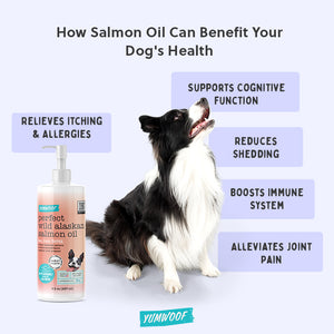 Perfect Salmon Oil