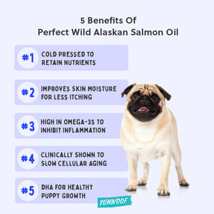 Perfect Salmon Oil